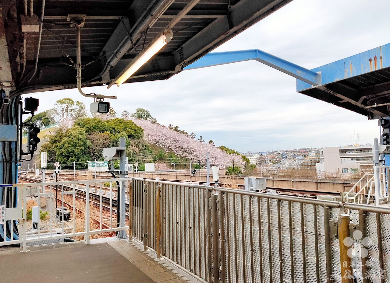 上永谷駅から見える天神山