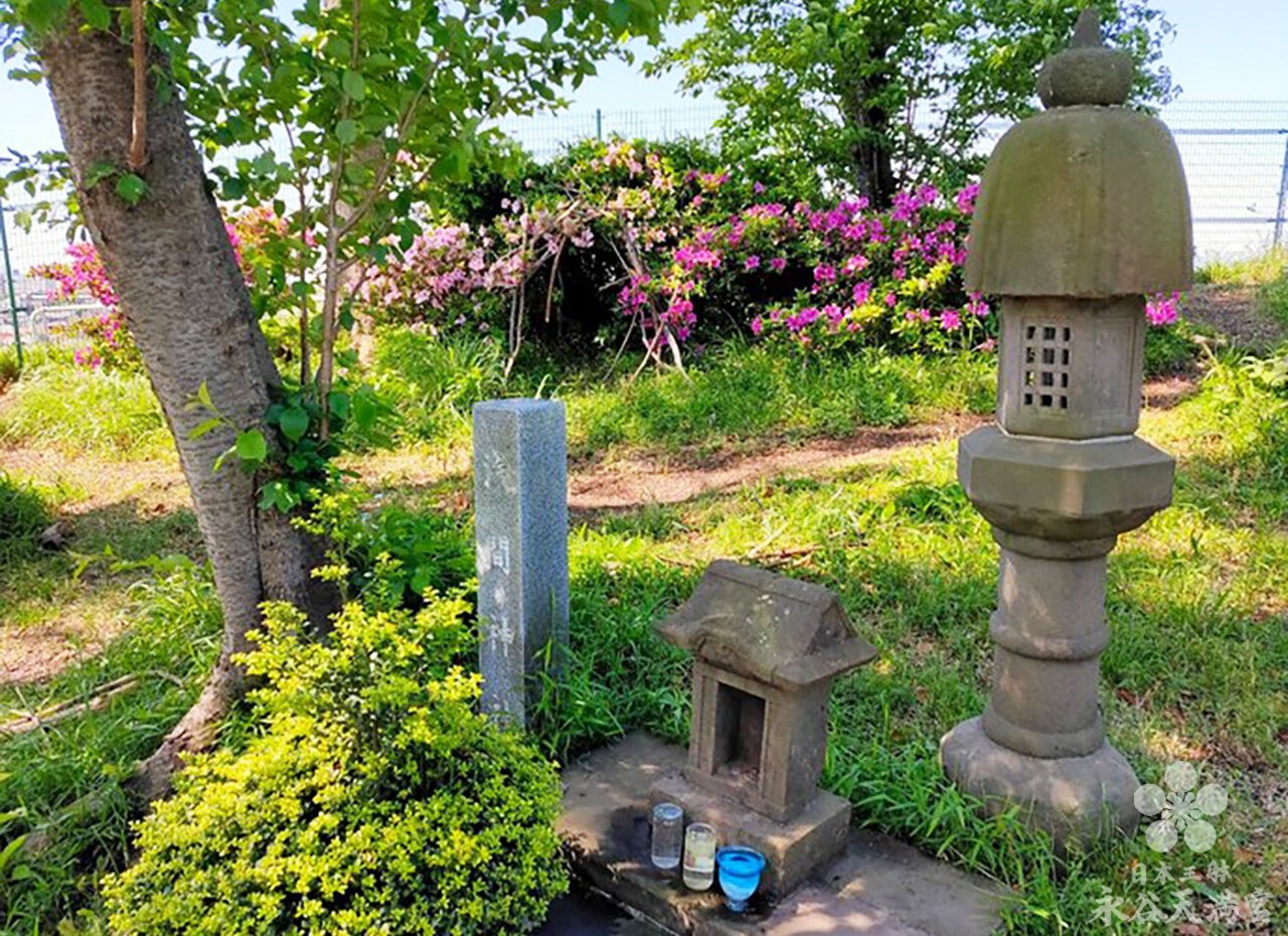 浅間神社とツツジ