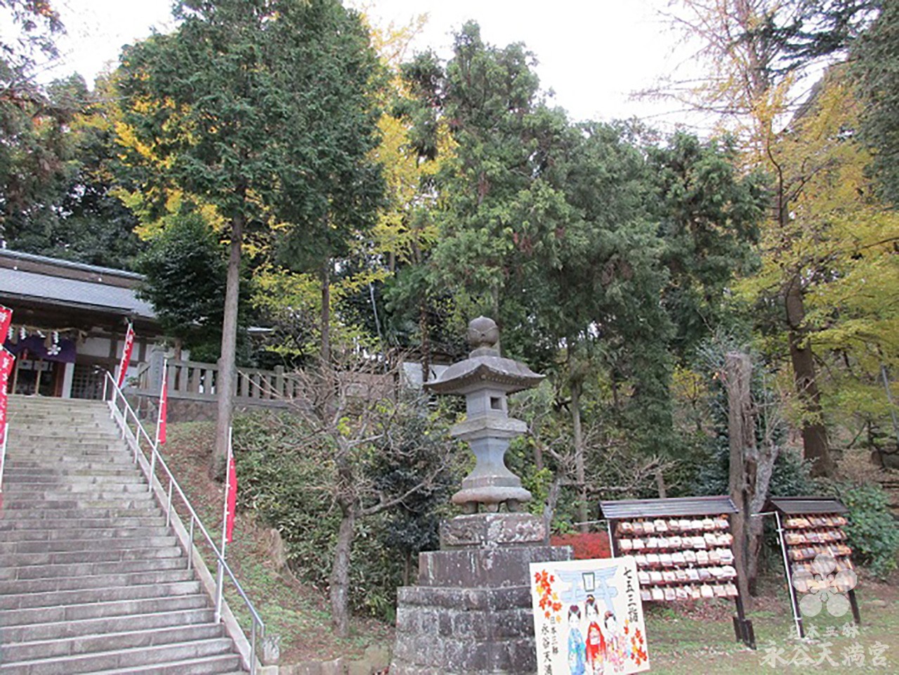 11月の紅葉